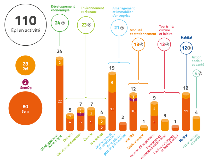 Activités exercées par les Epl